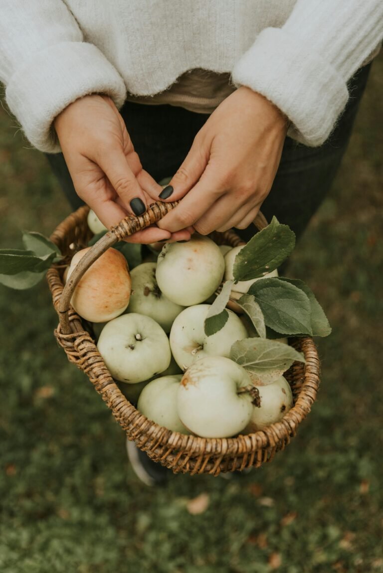 Basket of apples